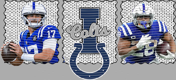 16oz team-NFL 3582